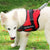 Personalized Patches for your Dog Harness
