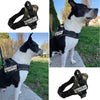 Dog Harness Service Dog in Training Vest