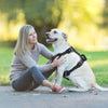Black Reflective Dog Harness with Handle