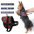 Harness for small Dogs