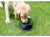 Portable Dog Bowl