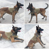 Tactical Dog Harness with No Pull Front Clip
